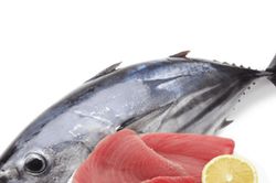 Ăn cá ngừ, người đàn ông bất ngờ rơi vào phản vệ nặng