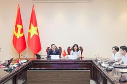 Tăng cường rà soát, có biện pháp lập pháp kiểm soát ma túy trong tình hình mới