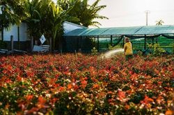 Hoa Nghĩa Hiệp nâng tầm thương hiệu bằng sản xuất tập trung và chuyển đổi xanh
