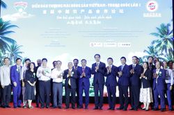Xuất khẩu ch&iacute;nh ngạch mở rộng c&aacute;nh cửa cho rau quả Việt tại Trung Quốc