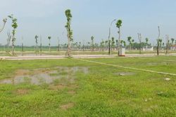 Sắp đấu giá 17 thửa đất xã Ứng Thiên, Hà Nội