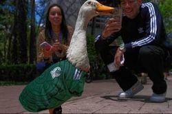 Áo đấu đội tuyển Mexico gây sốt theo cách đặc biệt