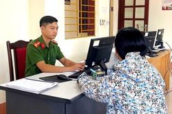 Xử phạt 7,5 triệu đồng người đăng tin sai: 'C&acirc;y nghiến di sản L&agrave;o Cai bị đ&oacute;ng đinh từ gốc l&ecirc;n ngọn'