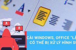 Phạt tù tới 3 năm đối với hành vi vi phạm bản quyền Windows, Office
