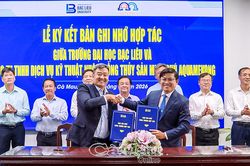Hạt nhân kết nối sáng tạo