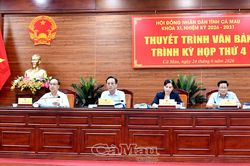 HĐND tỉnh thuyết tr&igrave;nh văn bản tr&igrave;nh kỳ họp thứ 4
