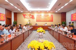Cà Mau đặt mục tiêu tăng trưởng lâm nghiệp 4% trong năm 2026