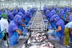 Doanh thu tháng 5 của Vĩnh Hoàn tăng mạnh nhờ cá tra và sản phẩm phụ