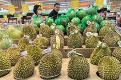 Bội thu sầu riêng tại Malaysia và bài toán cung cầu trong nông nghiệp
