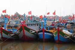 Ngư dân châu Á vẫn là điểm mù trong chuỗi cung ứng thủy sản toàn cầu