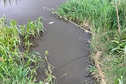 Lâm Đồng: Tăng cường kiểm tra, xử lý ô nhiễm môi trường tại các trang trại chăn nuôi
