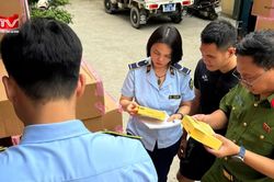 Phát hiện hơn 57.000 sản phẩm mỹ phẩm giả mạo thương hiệu nổi tiếng Hàn Quốc