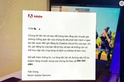 Người dùng Việt bị Adobe khóa tài khoản hàng loạt