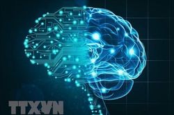 AI đang làm gia tăng áp lực ngày càng lớn lên năng lượng