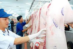 Văn bản hợp nhất 67/VBHN-BNNMT Quy định về kiểm dịch động vật, sản phẩm động vật trên cạn