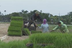 T&iacute;ch hợp kế hoạch ph&aacute;t triển kinh tế tập thể v&agrave; nh&acirc;n rộng m&ocirc; h&igrave;nh hợp t&aacute;c x&atilde; hiệu quả giai đoạn 2026-2030
