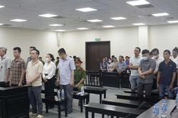 Cựu chủ tịch Công ty Nam Triệu bị đề nghị đến 28 năm tù