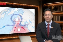 [Video] Tiêu điểm 25/6: Omega Block - 'địa ngục nhiệt độ' ở châu Âu