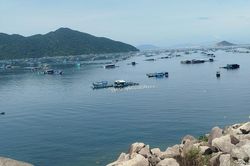 Tháng Sáu về Vũng Rô