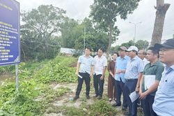 Phê duyệt phương án đấu giá quyền sử dụng đất dự án Chợ đầu mối Hòa Phước