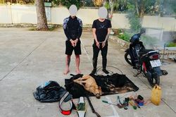 Cẩu tặc th&uacute;c thủ