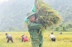Mở hướng tho&aacute;t ngh&egrave;o cho đồng b&agrave;o Rục ở M&ograve; O Ồ Ồ