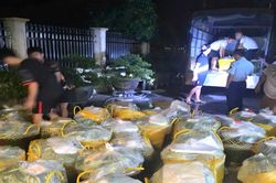 Liên tiếp phát hiện hàng giả, hàng lậu tại vùng biên Móng Cái