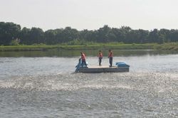 Doanh nghiệp thủy sản 'đứng ngồi không yên'