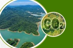 PV Power chuẩn bị bước v&agrave;o giao dịch l&ocirc; h&agrave;ng h&oacute;a đầu ti&ecirc;n của thị trường carbon
