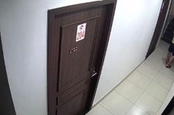 Vụ thanh ni&ecirc;n đ&aacute; văng ch&oacute; cưng ở chung cư Hải Ph&ograve;ng: Chủ nh&acirc;n ch&uacute; ch&oacute; l&ecirc;n tiếng