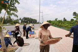 Thanh Hóa: Vỉa hè phủ kín 'lộc biển'