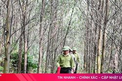 T&iacute;n hiệu vui từ l&acirc;m phần từng l&agrave; điểm 'n&oacute;ng'