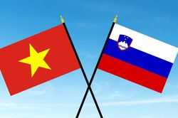 Điện mừng kỷ niệm Quốc khánh Cộng hòa Slovenia