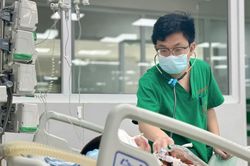 Cảnh báo nhiều trường hợp mắc bệnh viêm não Nhật Bản trong tình trạng nặng