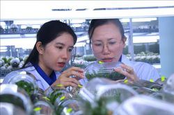 Nửa thế kỷ kiến tạo nền nông nghiệp công nghệ cao - Bài cuối: Kiến tạo trung tâm đổi mới sáng tạo nông nghiệp