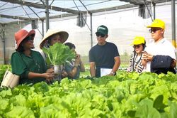 Nửa thế kỷ kiến tạo nền nông nghiệp công nghệ cao - Bài 1: Cuộc chuyển đổi chiến lược