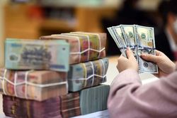 Dùng sai mục đích vốn từ lô trái phiếu 1.300 tỷ đồng, Nam Rạch Chiếc bị phạt 175 triệu đồng