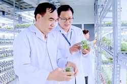 TPHCM đầu tư vào 'mũi nhọn' công nghệ sinh học