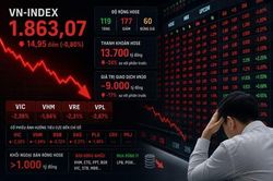 VN-Index quay đầu giảm gần 15 điểm khi nhóm cổ phiếu lớn suy yếu