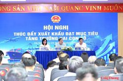 Hội nghị th&uacute;c đẩy xuất khẩu đạt mục ti&ecirc;u tăng trưởng 2 con số