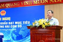 Chùm ảnh: Hội nghị thúc đẩy xuất khẩu đạt mục tiêu tăng trưởng hai con số