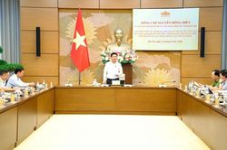 Phó Chủ tịch Quốc hội Nguyễn Hồng Diên họp, rà soát tiến độ Luật Dầu khí cùng 7 luật khác