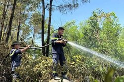 Khống chế thành công vụ cháy rừng tại phường Hải Bình