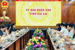 Gia Lai sẽ phối hợp hỗ trợ phụ nữ mang thai có hoàn cảnh khó khăn
