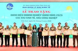 Gia Lai có 74 cơ sở đạt danh hiệu 'Doanh nghiệp xanh' năm 2026