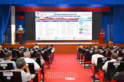 Tập trung sắp xếp, kiện toàn chi bộ, cấp ủy chi bộ thôn, tổ dân phố