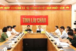Ban Chỉ đạo quốc gia về t&igrave;m kiếm quy tập v&agrave; x&aacute;c định danh t&iacute;nh h&agrave;i cốt liệt sĩ sơ kết thực hiện nhiệm vụ 6 th&aacute;ng đầu năm