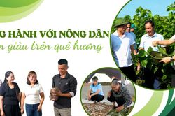 Đồng hành với nông dân làm giàu trên quê hương