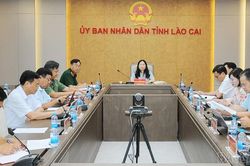 Lào Cai tham dự Hội nghị sơ kết thực hiện nhiệm vụ tìm kiếm, quy tập, xác định danh tính hài cốt liệt sĩ