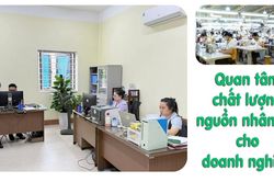 Quan tâm chất lượng nguồn nhân lực cho doanh nghiệp